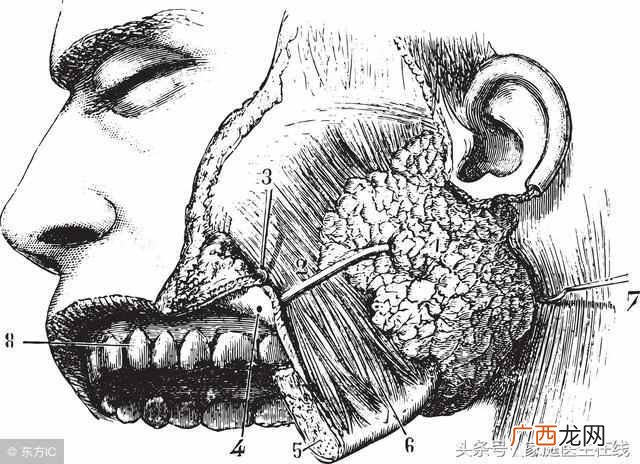 不试不知道 咬肌大怎么办?快速瘦脸的方法