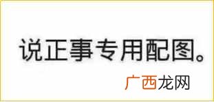宝路幼犬狗粮怎么样？教你正确挑选狗粮