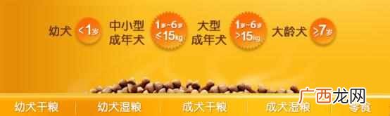宝路幼犬狗粮怎么样？教你正确挑选狗粮