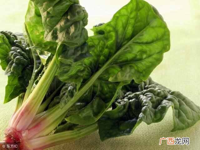 记忆力不好怎么办？食疗是最有效的方法（无任