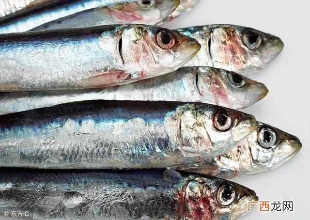 记忆力不好怎么办？食疗是最有效的方法（无任