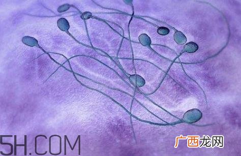 弱精症是天生的吗？弱精症是先天后天的？
