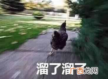 微信红包怎么抢？抢红包居然也能发财