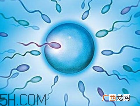 无精症吃什么可以生精？无精症吃生精片管用吗？