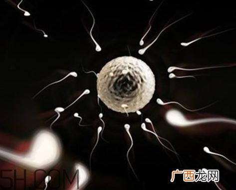少精症能自然怀孕吗?少精症多久能治好?