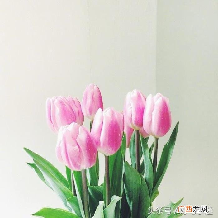 朋友圈里感动到哭的情书句子 最能打动人心的短情书