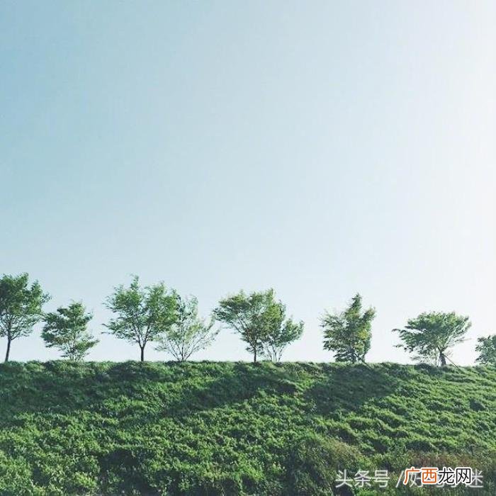 朋友圈里感动到哭的情书句子 最能打动人心的短情书