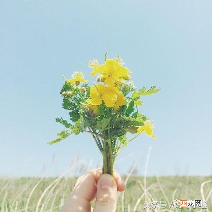 朋友圈里感动到哭的情书句子 最能打动人心的短情书