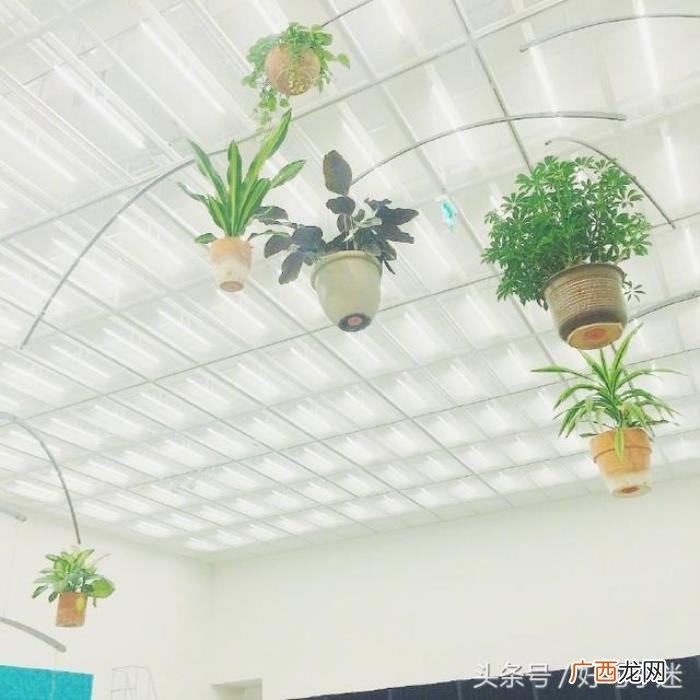 朋友圈里感动到哭的情书句子 最能打动人心的短情书