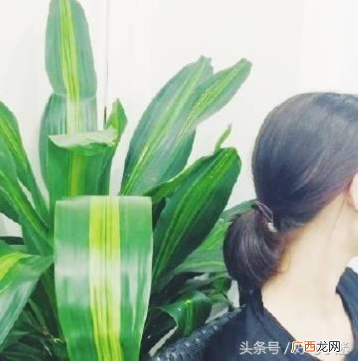 朋友圈里感动到哭的情书句子 最能打动人心的短情书