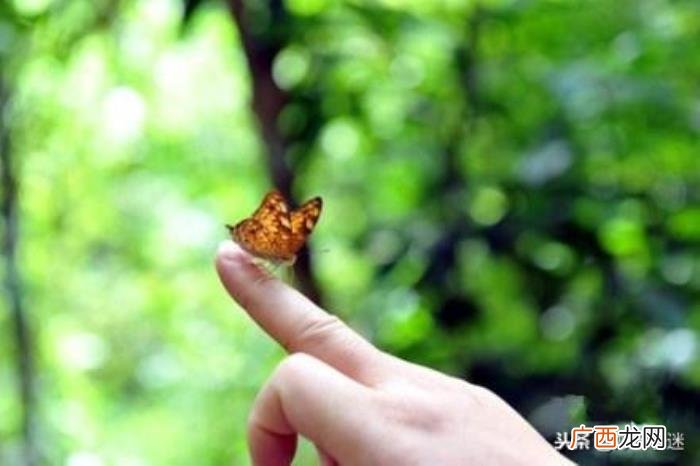 特别想念一个人的说说句子 特别想念一个人怎么说