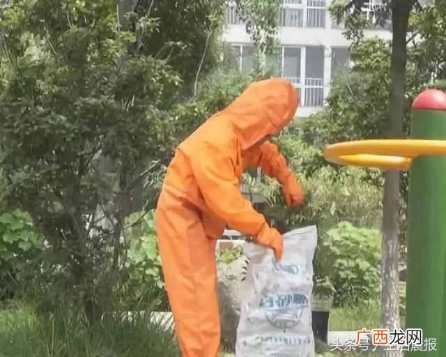 怎么捅马蜂窝？最正确的捅马蜂窝的方法