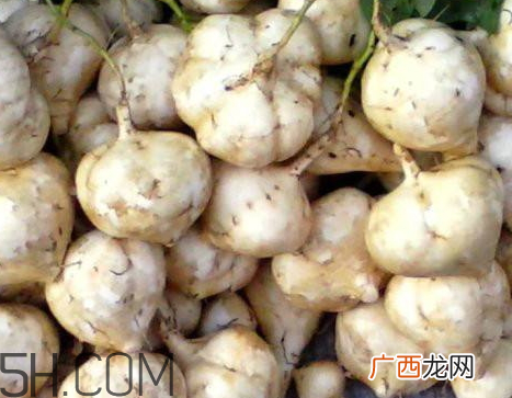 白地瓜什么时候收获白地瓜什么季节成熟