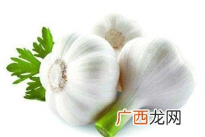 吃大蒜对肾有好处吗?大蒜泡酒可补肾
