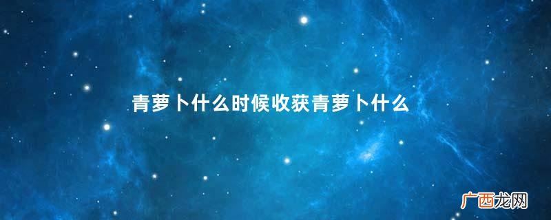 青萝卜什么时候收获青萝卜什么时候上市