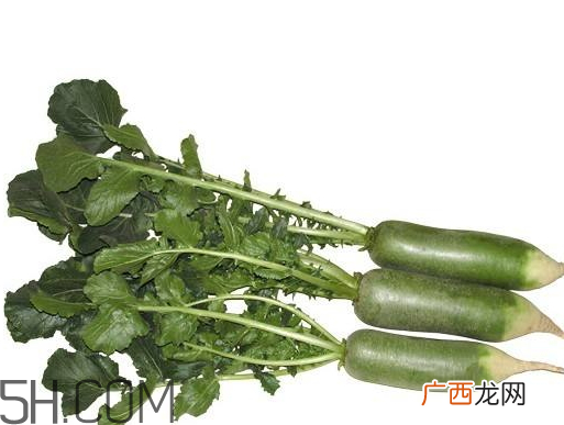 青萝卜什么时候收获青萝卜什么时候上市