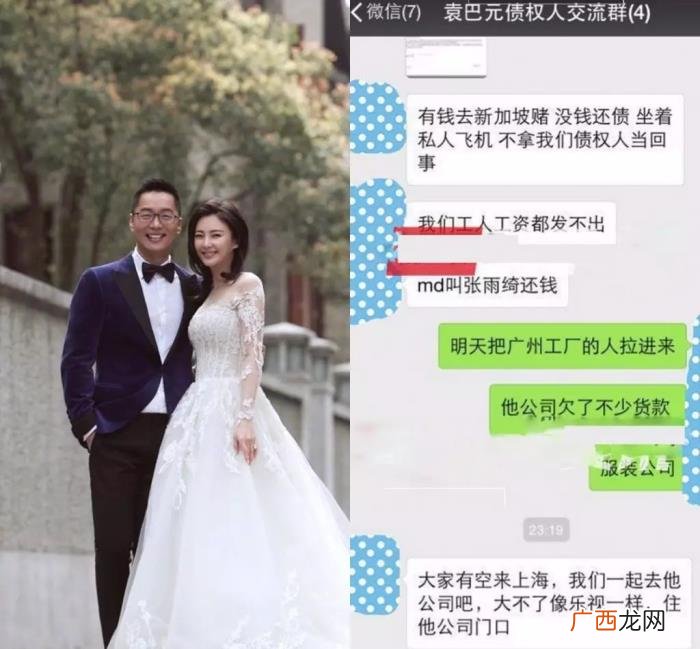 张雨绮老公，张雨绮相识七十天就闪婚的现任丈夫袁巴元的财力到底如何呢