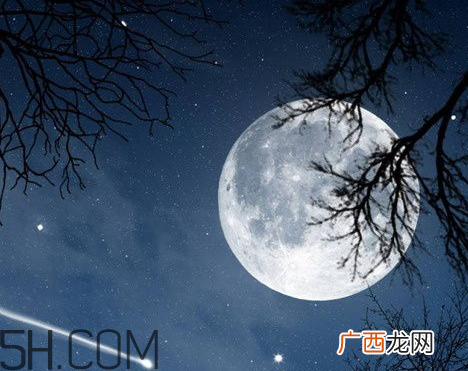 白月光一词出自哪里网络用语白月光是什么意思