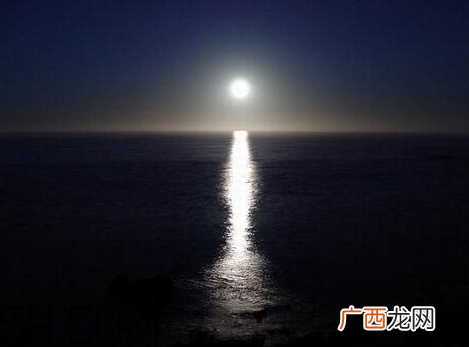 白月光一词出自哪里网络用语白月光是什么意思