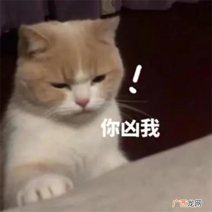 女朋友新鲜感过了怎么挽回，该如何面对新鲜感的消退