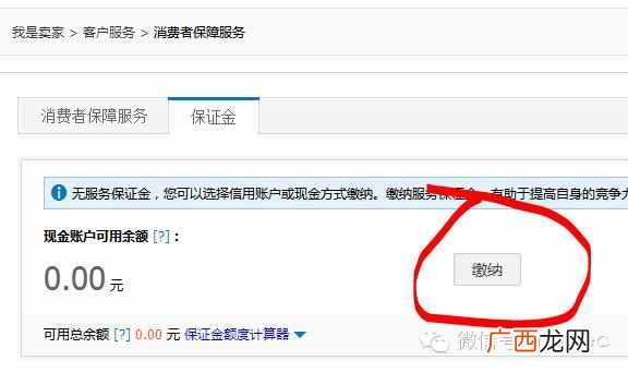 淘宝店铺介绍怎么写才能引人注意？老店长经验