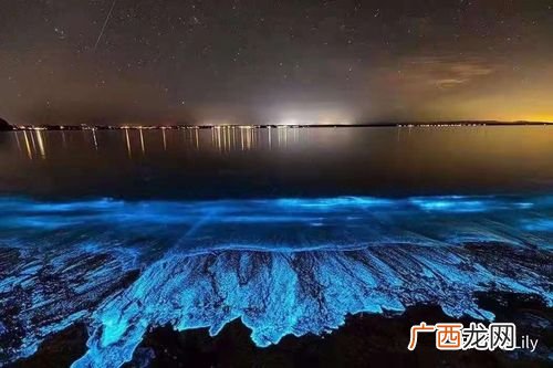 夜光藻怎么处理最安全 夜光藻鱼养殖的危害