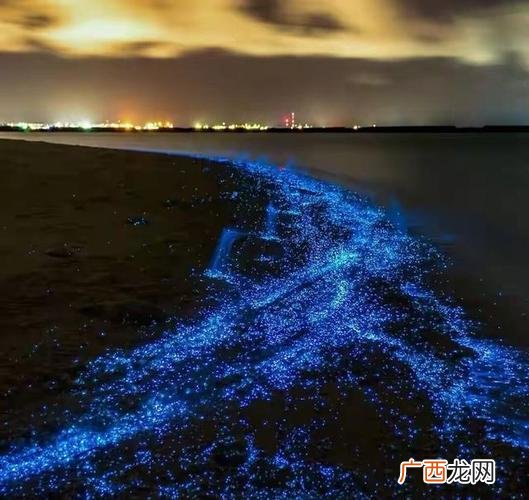 夜光藻怎么处理最安全 夜光藻鱼养殖的危害
