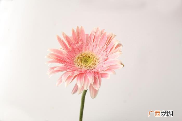 男人对你舌吻代表什么，男人经常给你这些感觉