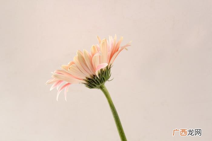 男人对你舌吻代表什么，男人经常给你这些感觉