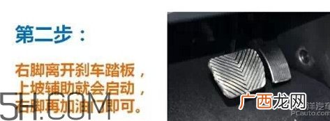 女神说坡上什么意思?坡上的内涵意思