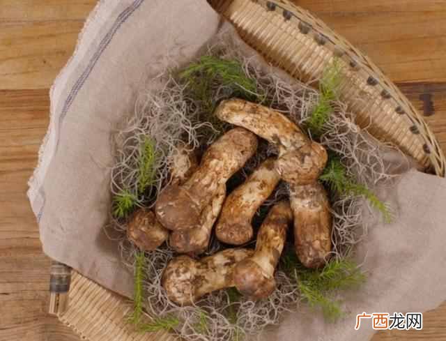 松茸怎么吃最好？营养又好吃的方法（一看就会