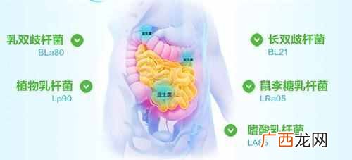 腹泻怎么办？解决最快方法，赶紧试试吧