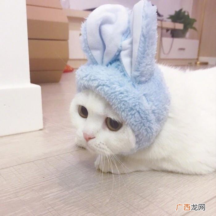 暗示我喜欢你的情话 暗示喜欢一个人的句子