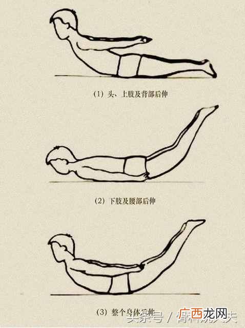 腰痛怎么办才好？几个动作快速解决腰痛困扰