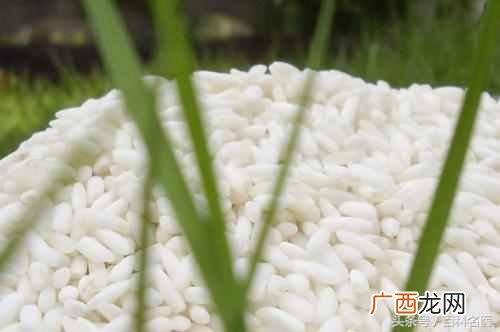 脾虚怎么调理？脾虚的症状，食物调理方法最佳