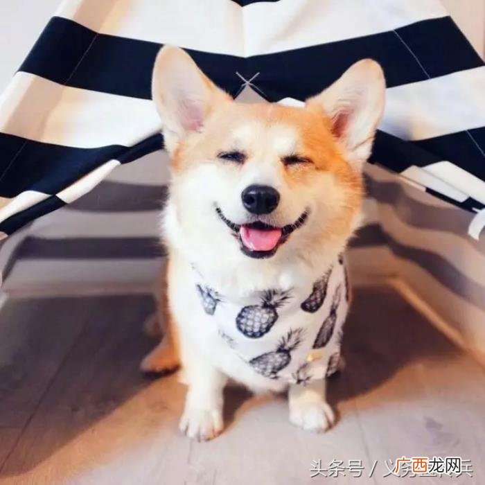 搞笑幽默的早安说说 早上话题100句幽默说说