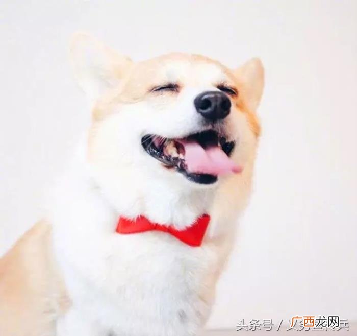 搞笑幽默的早安说说 早上话题100句幽默说说