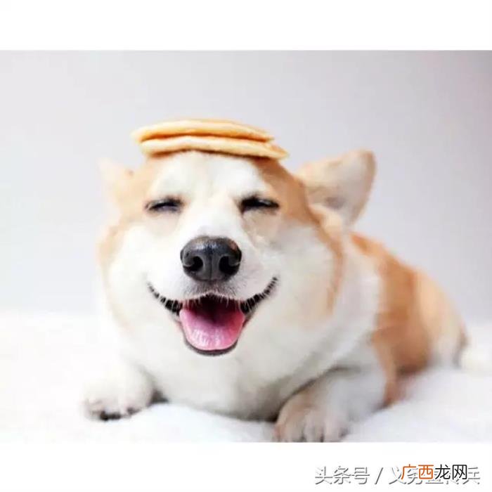 搞笑幽默的早安说说 早上话题100句幽默说说