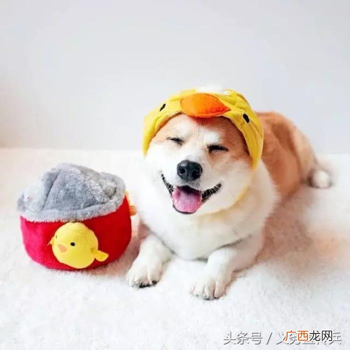 搞笑幽默的早安说说 早上话题100句幽默说说
