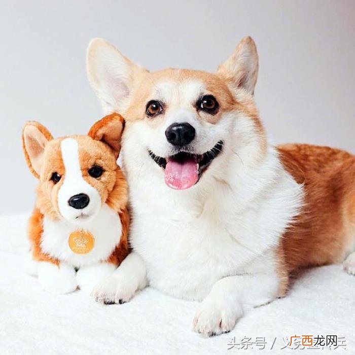 搞笑幽默的早安说说 早上话题100句幽默说说