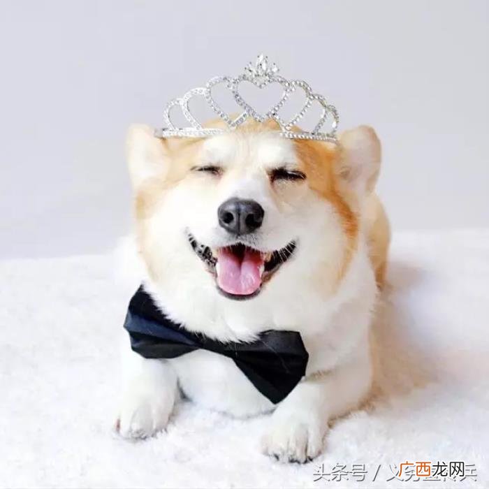 搞笑幽默的早安说说 早上话题100句幽默说说