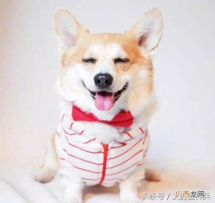 搞笑幽默的早安说说 早上话题100句幽默说说