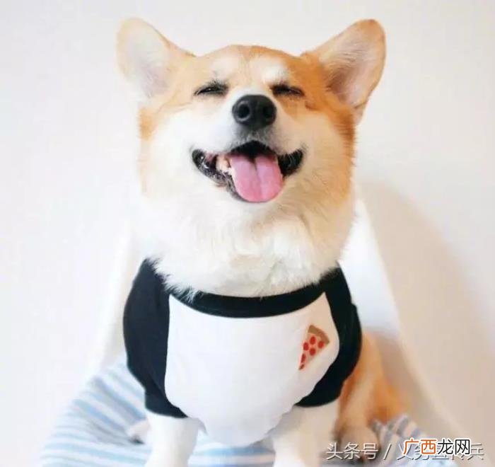 搞笑幽默的早安说说 早上话题100句幽默说说