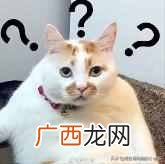 简单的解决步骤 电脑卡怎么办