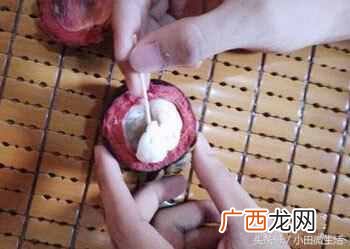 超级实用的小窍门 山竹怎么剥皮
