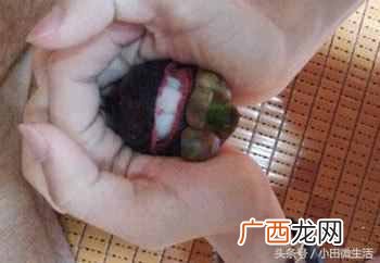 超级实用的小窍门 山竹怎么剥皮