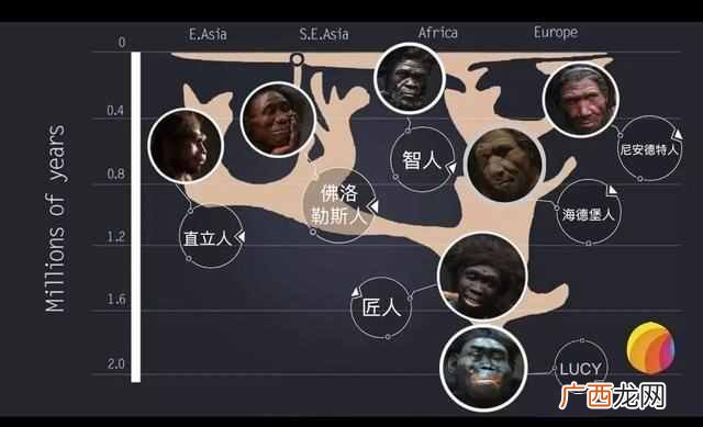 原因是这样的 恐龙是怎么灭绝的故事