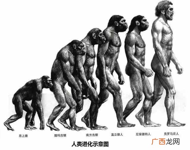 原因是这样的 恐龙是怎么灭绝的故事