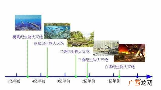 原因是这样的 恐龙是怎么灭绝的故事