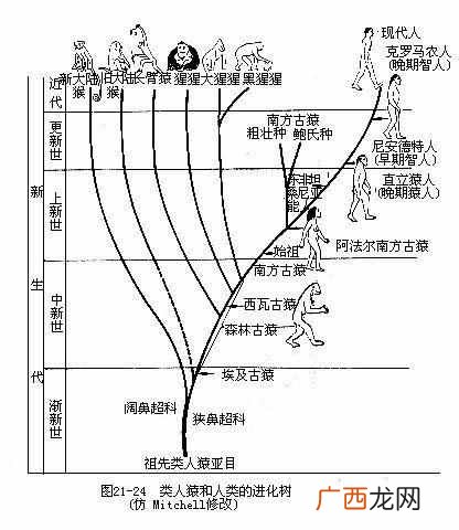 原因是这样的 恐龙是怎么灭绝的故事